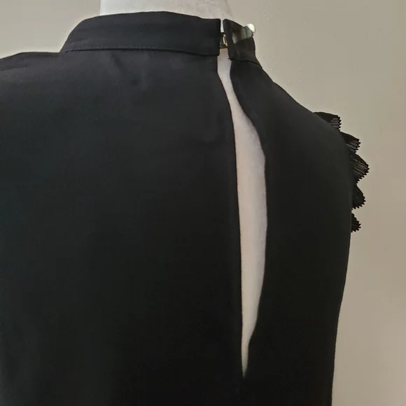 Pinko Silk Ruffle Blouse - Picture 10 of 14